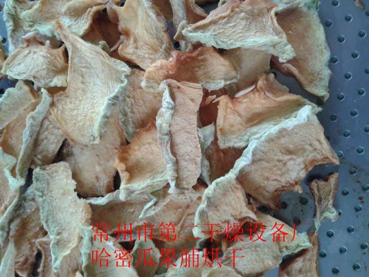 DWD 帶式脫水蔬菜干燥機(jī)