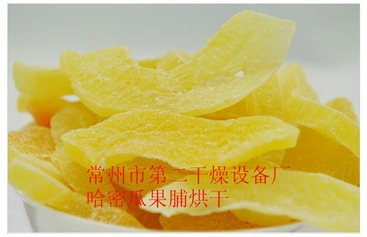 DWD 帶式脫水蔬菜干燥機(jī)