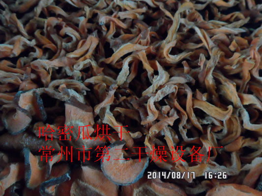 DWD 帶式脫水蔬菜干燥機(jī)