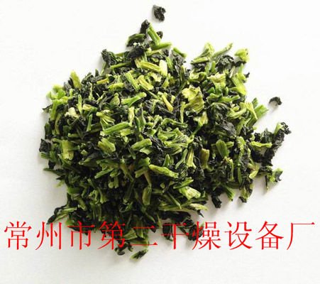 DWD 帶式脫水蔬菜干燥機(jī)